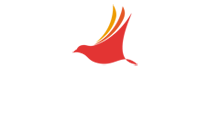 עורך דין יגאל בן חיים